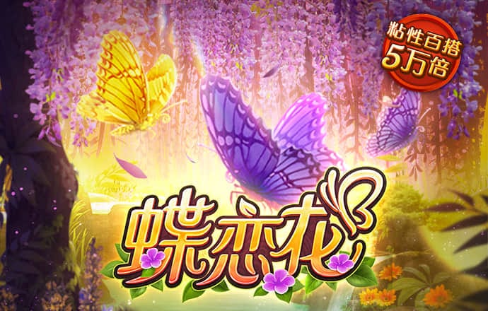 71体育直播网